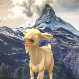 First appearance of Goat